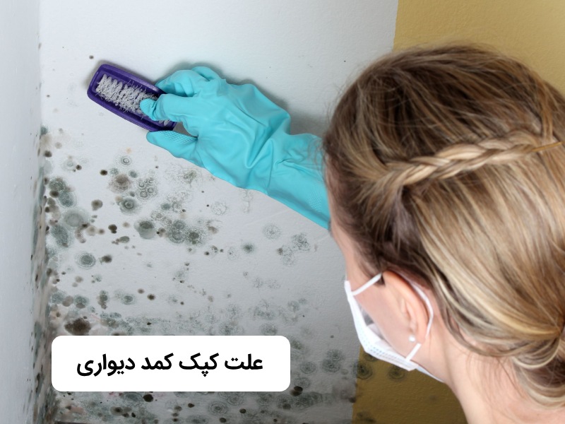 علت کپک زدن کمد دیواری